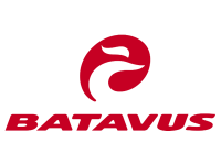 Batavus